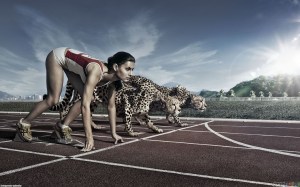 cheetah and track runner