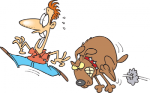 2641_angry_dog_chasing_a_person.jpg