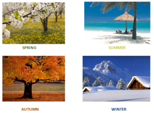 SEASONS
