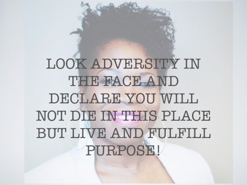 Purpose declaration.001