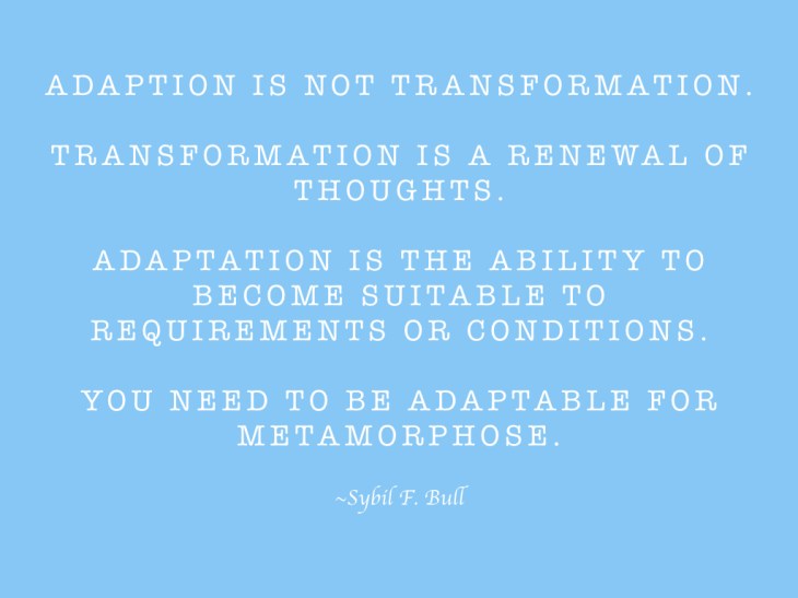 transformation-with-adaptation-001