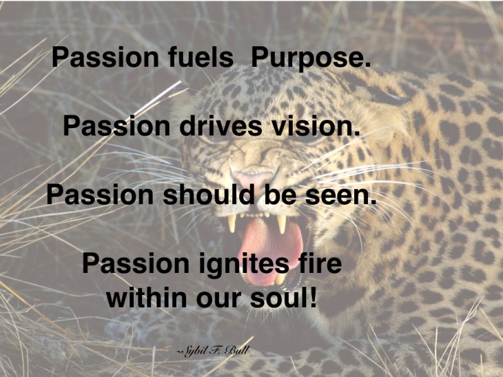 let-your-passion-be-seen-001