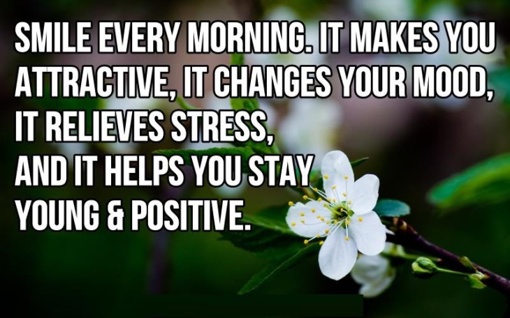 a1152c0312778d56a1cc646adfab8689