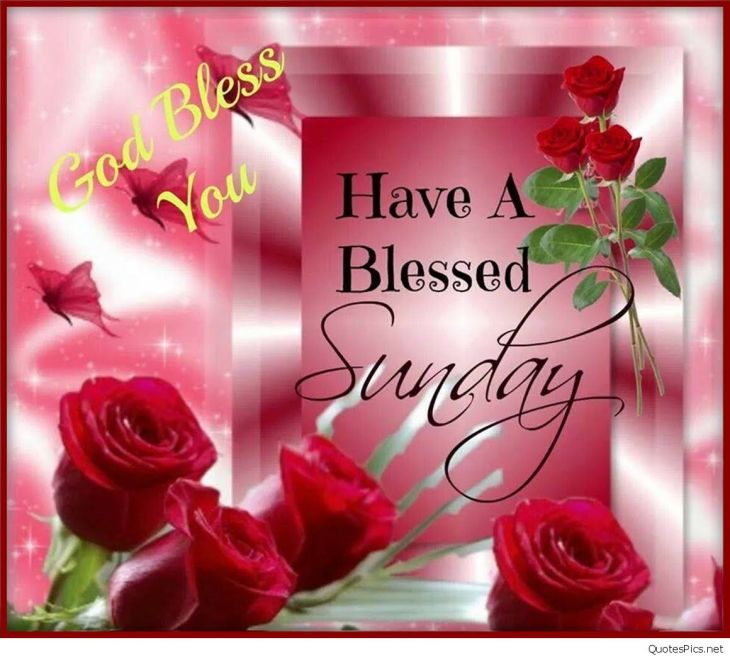 Happy-Sunday-Roses-Wallpaper