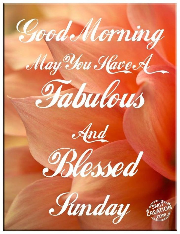 e09df576c2e688dd935a6b3ae0573d16--happy-sunday-morning-blessed-sunday