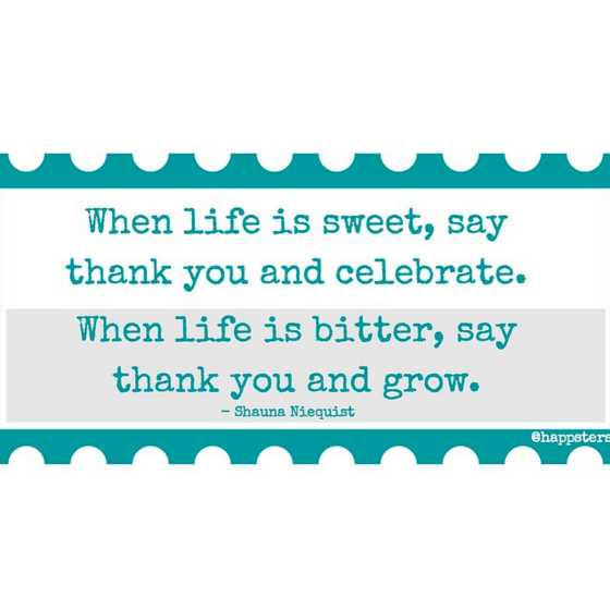 snapshot-11415-613-pm