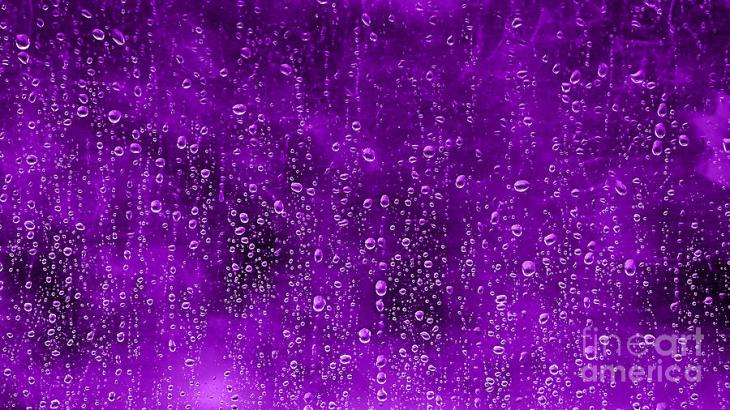 purple-rain-prince-tribute-marvin-blaine