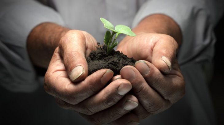 shutterstock_126207539-850x476